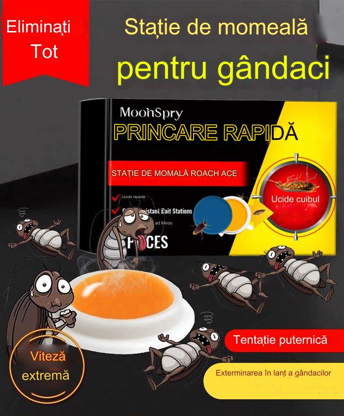 【10 cutii】Plasture de momeală cu gel puternic pentru uciderea gândacilor 3723451 